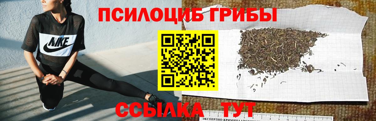 Галлюциногенные грибы мухоморы Коммунар